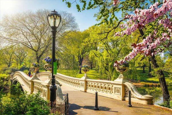 Central Park Singles Date Walk